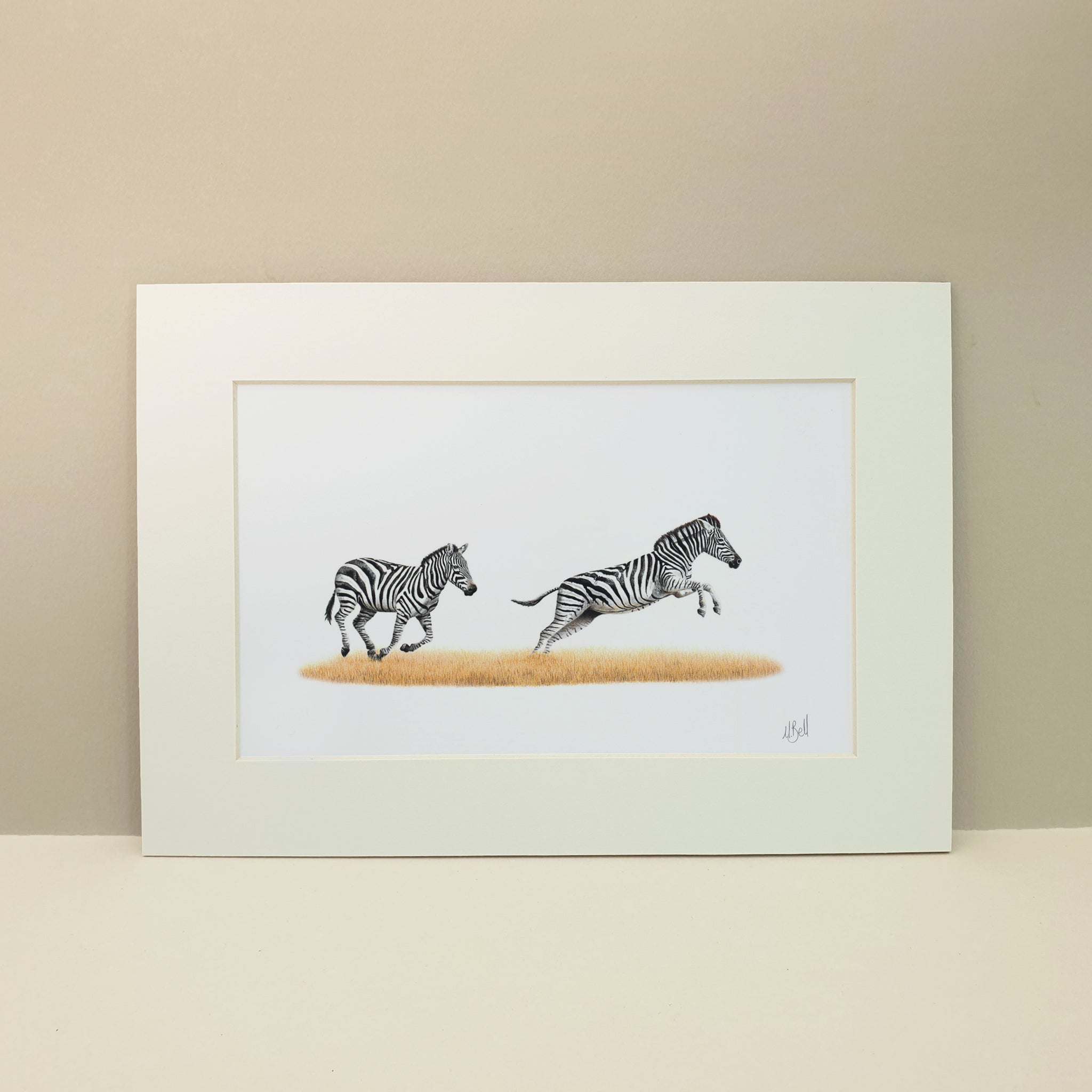 Running zebras pencil artwork by Matthew Bell wildlife artist