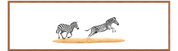 Zebras Panorama
