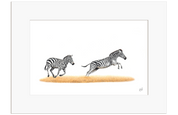 Zebras Running - Z4