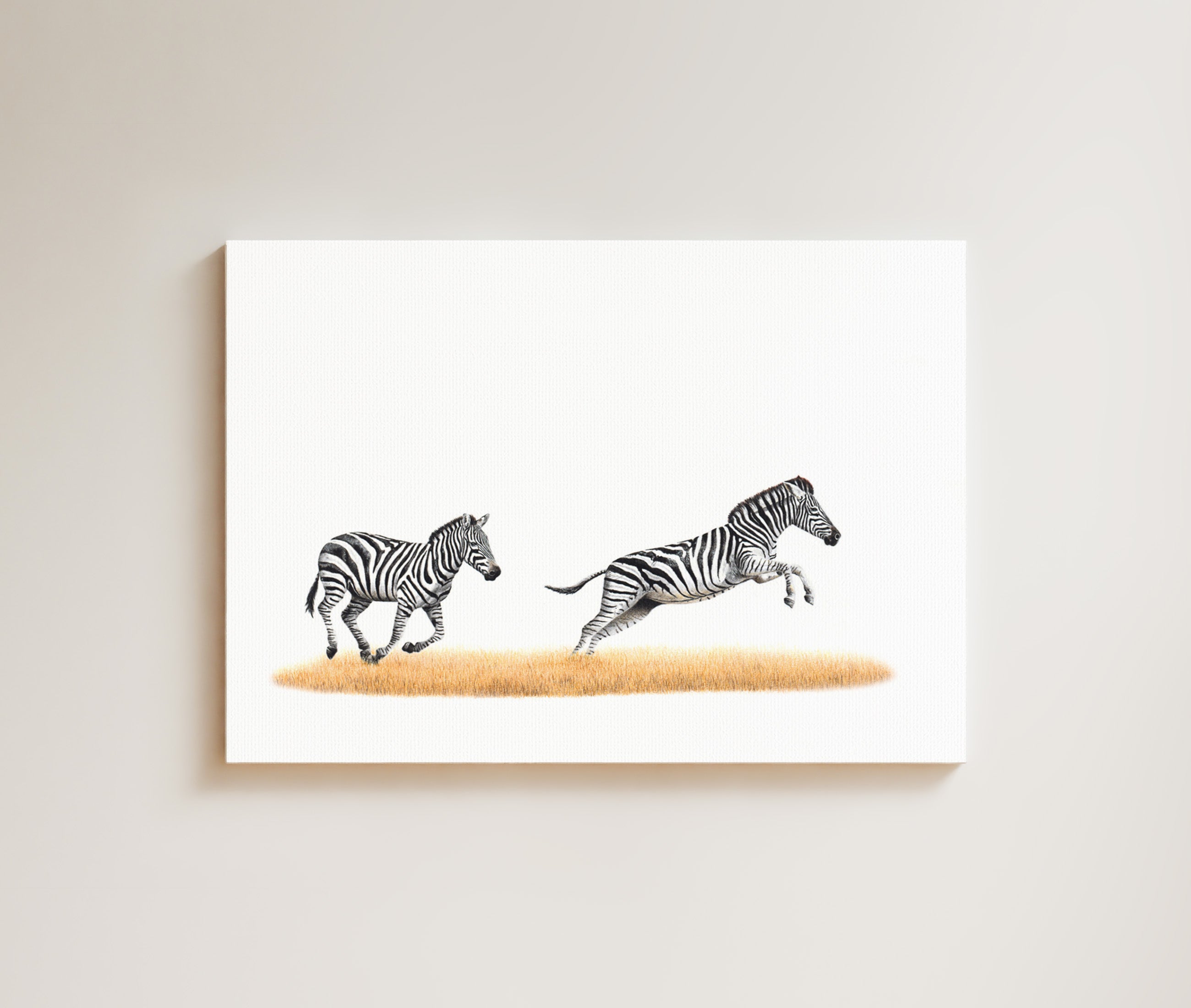 Zebras Running drawing on canvas by South African wildlife artist Matthew Bell