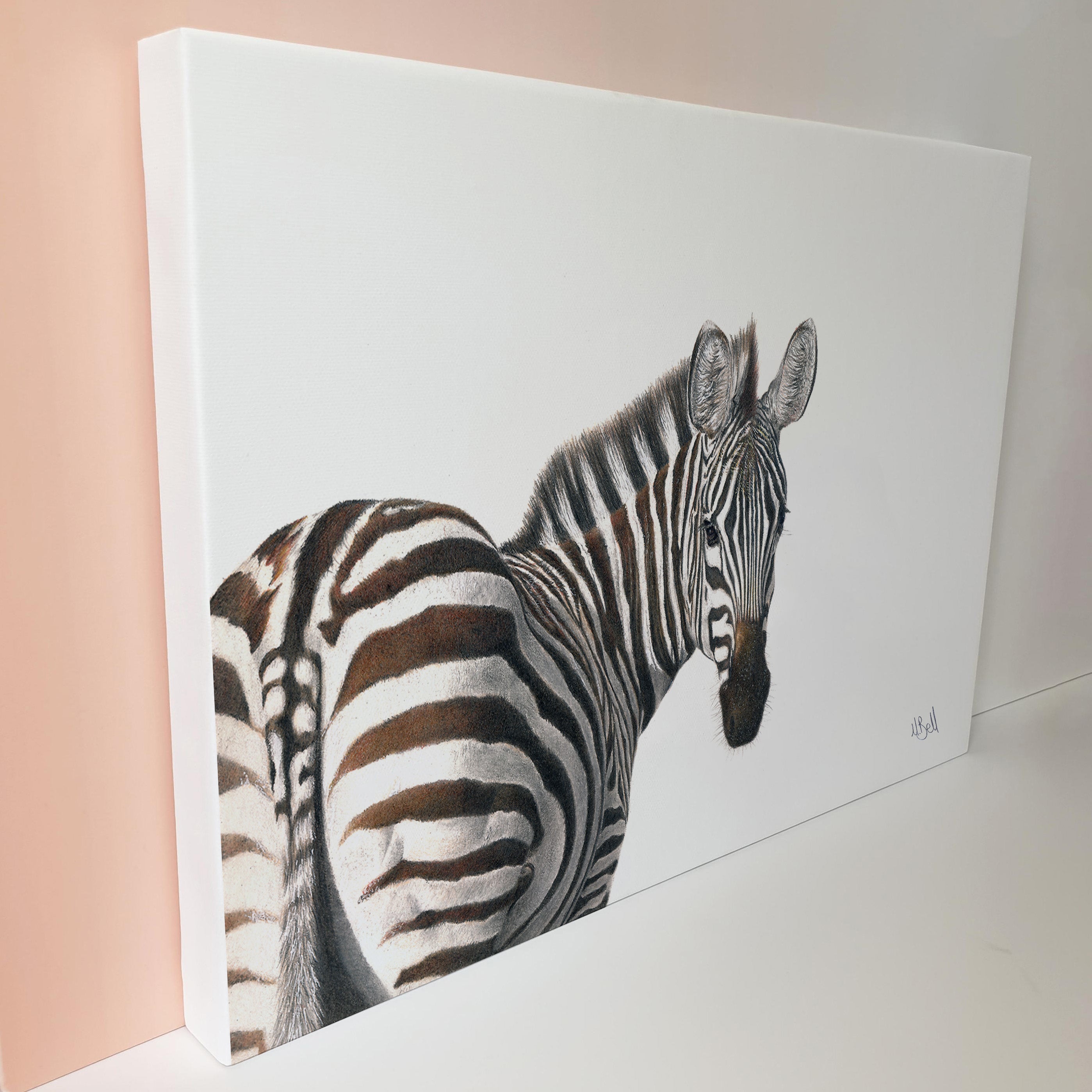 Zebra Portrait (Z5) on Canvas – Matthew Bell Wildlife Art