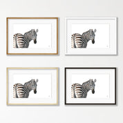 Zebra Portrait - Z5