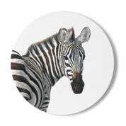 Zebra Wooden Coaster - Z5