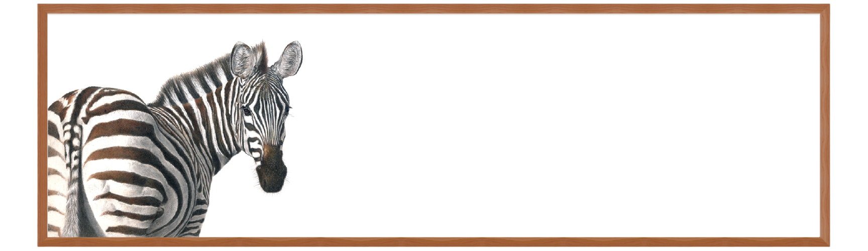 Z5_df8c7b49-6da7-476b-a453-144f1d54e829.png