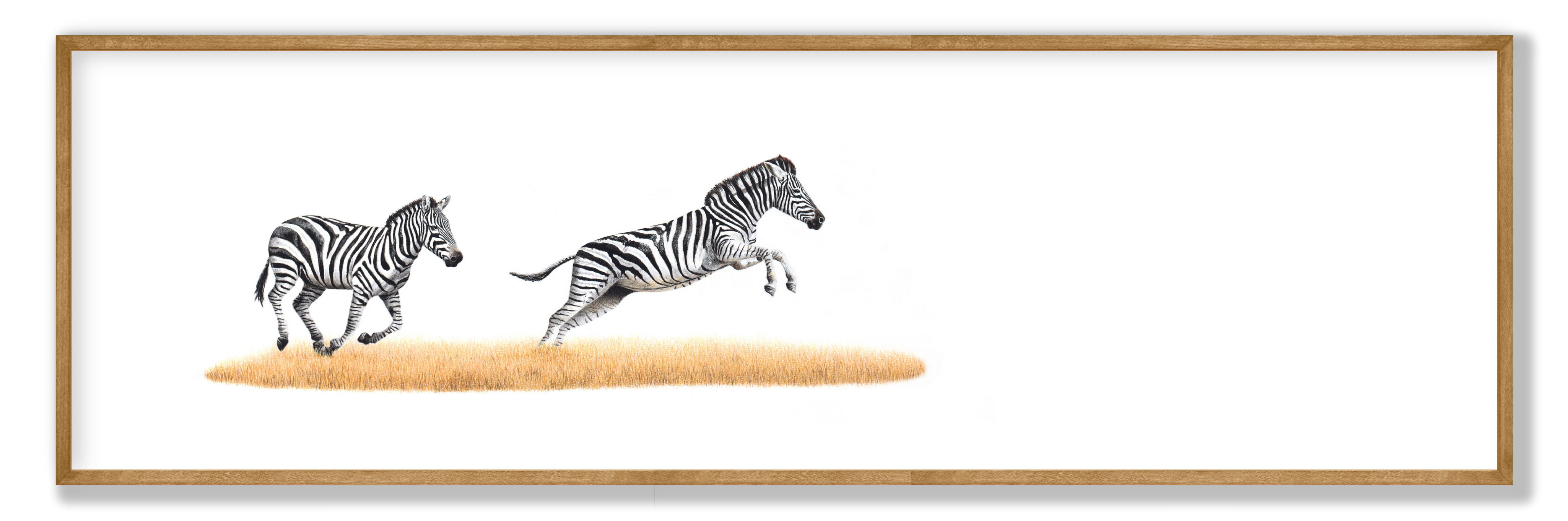Framed zebra panorama print showcasing detailed African wildlife art in an elegant, ready-to-hang frame.
