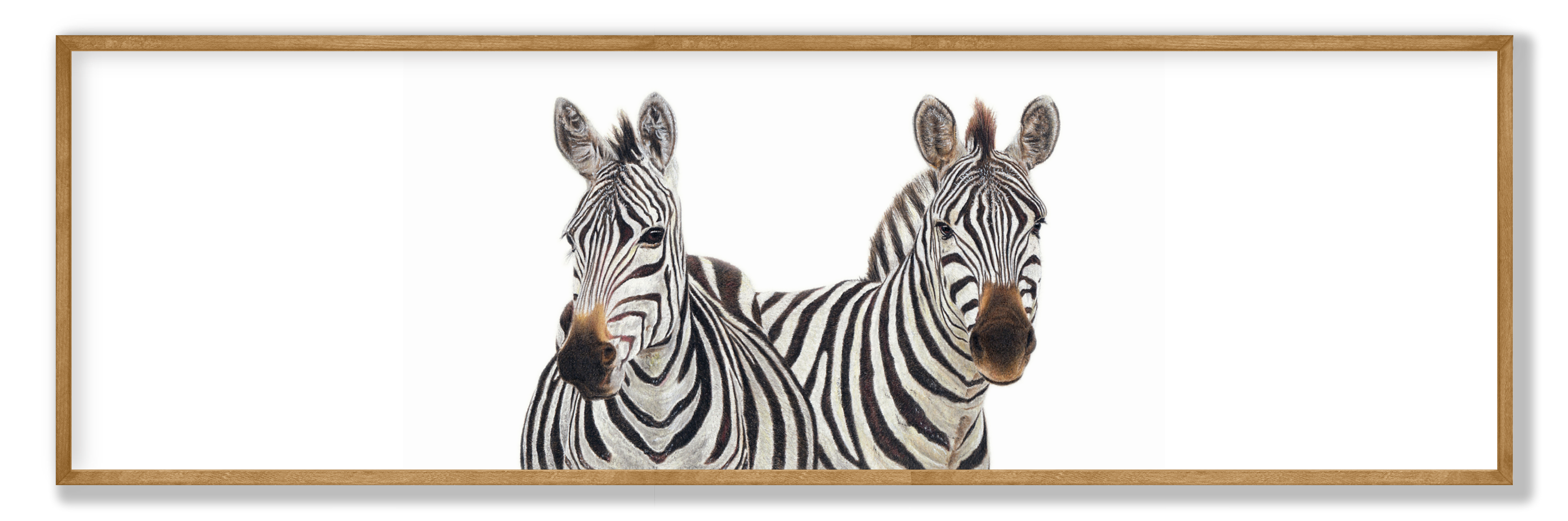 Framed zebra panorama print showcasing detailed African wildlife art in an elegant, ready-to-hang frame.