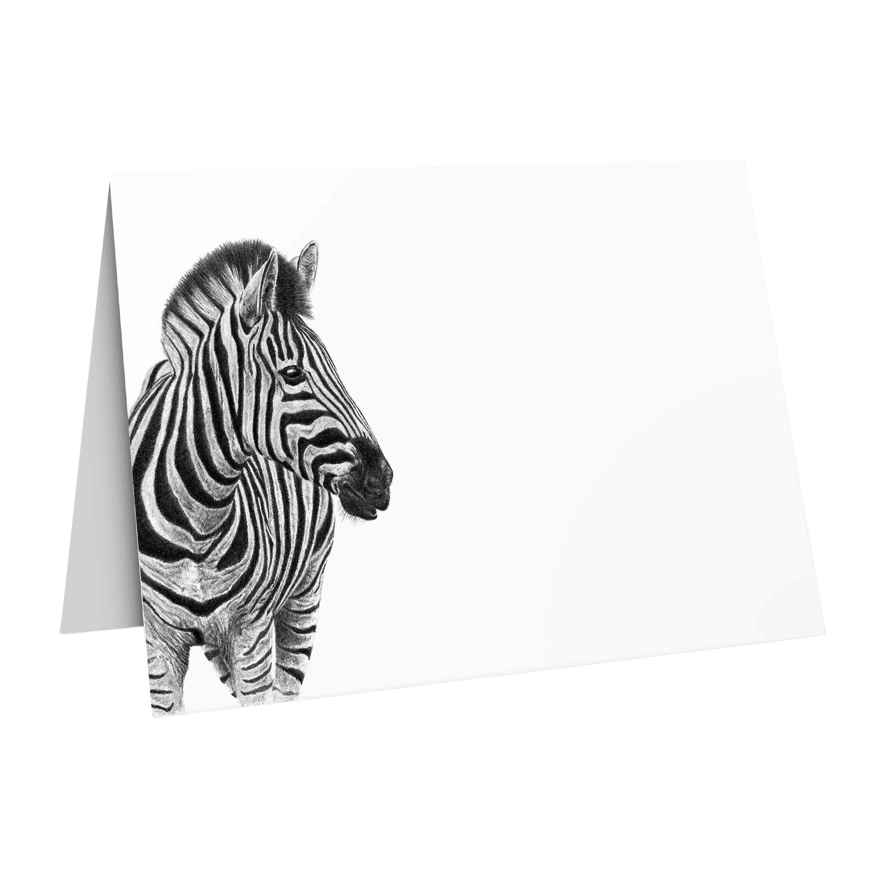African wildlife zebra greeting card