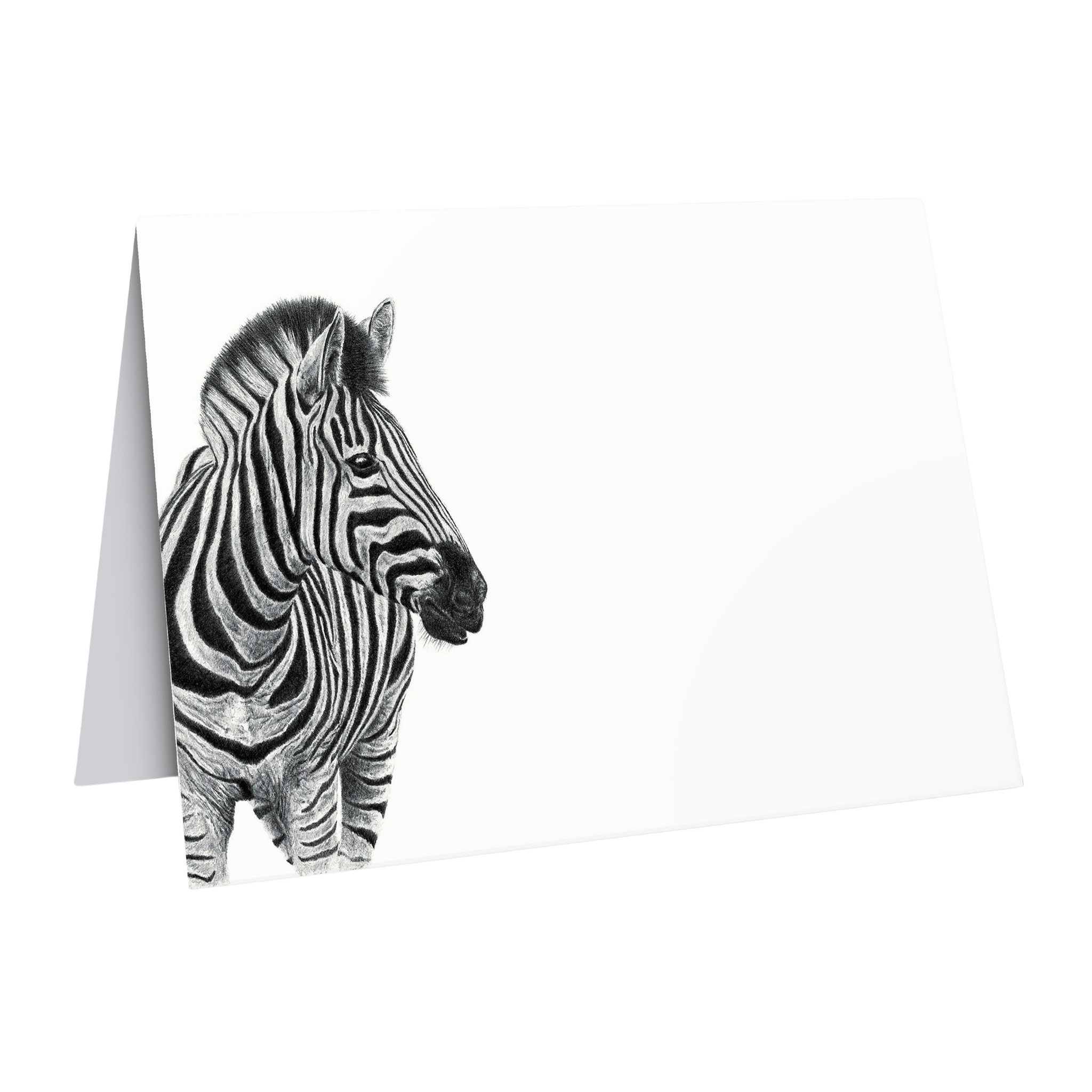 African wildlife zebra greeting card