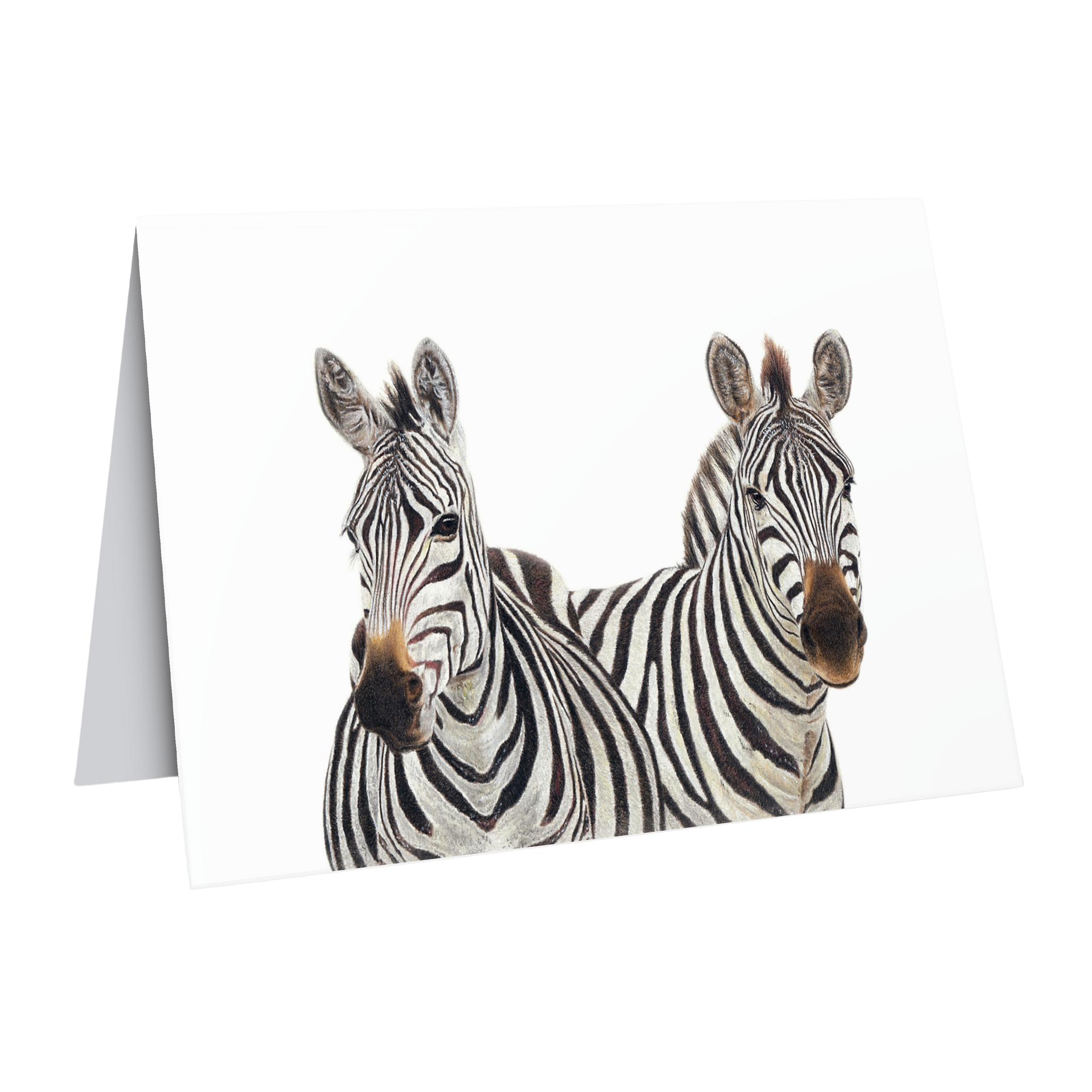 Zebras fine art greeting card