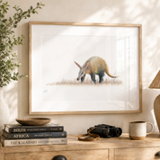 Framed and mounted print of an Aardvark drawing by South African wildlife artist Matthew Bell