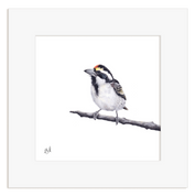 Framed artwork of a bird perched on a branch with a white background