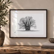A framed black and white botanical art print of two ancient trees, displayed on a rustic wooden shelf next to a potted plant and books against a warm beige wall.
