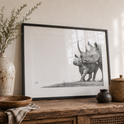 Pencil artwork by Matthew Bell, South African artist of a Black Rhino mother with its calf in a black wooden frame
