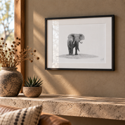 Framed pencil print of an African Elephant bull with a black wooden frame by South African wildlife artist Matthew Bell