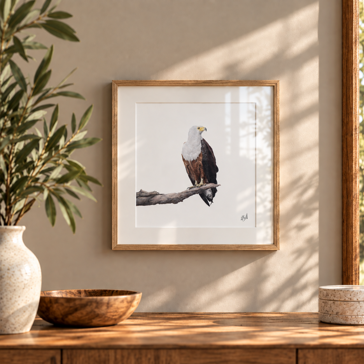 Framed African Fish Eagle fine art print by Matthew Bell, featuring a detailed South African bird drawing in a natural wood box frame