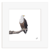 Mounted artwork of an African Fish Eagle perched on a branch with a white background