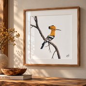 Framed wall art featuring a pencil drawing of an African Hoopoe bird perched on a branch, displayed in a warm wood frame on a beige wall above a wooden surface with a vase and bowl nearby.