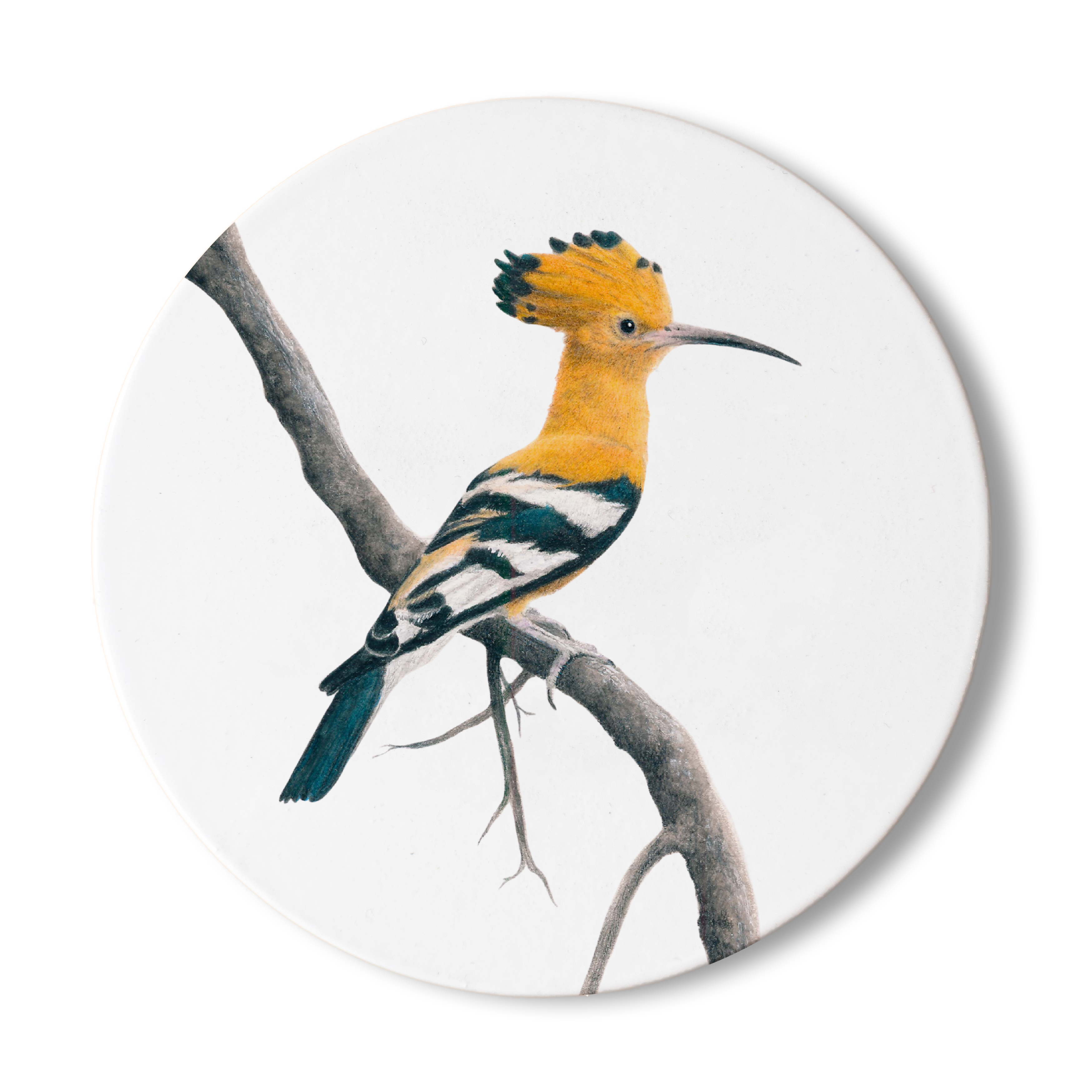 White wooden coaster with a drawing of an African Hoopoe sitting on a branch