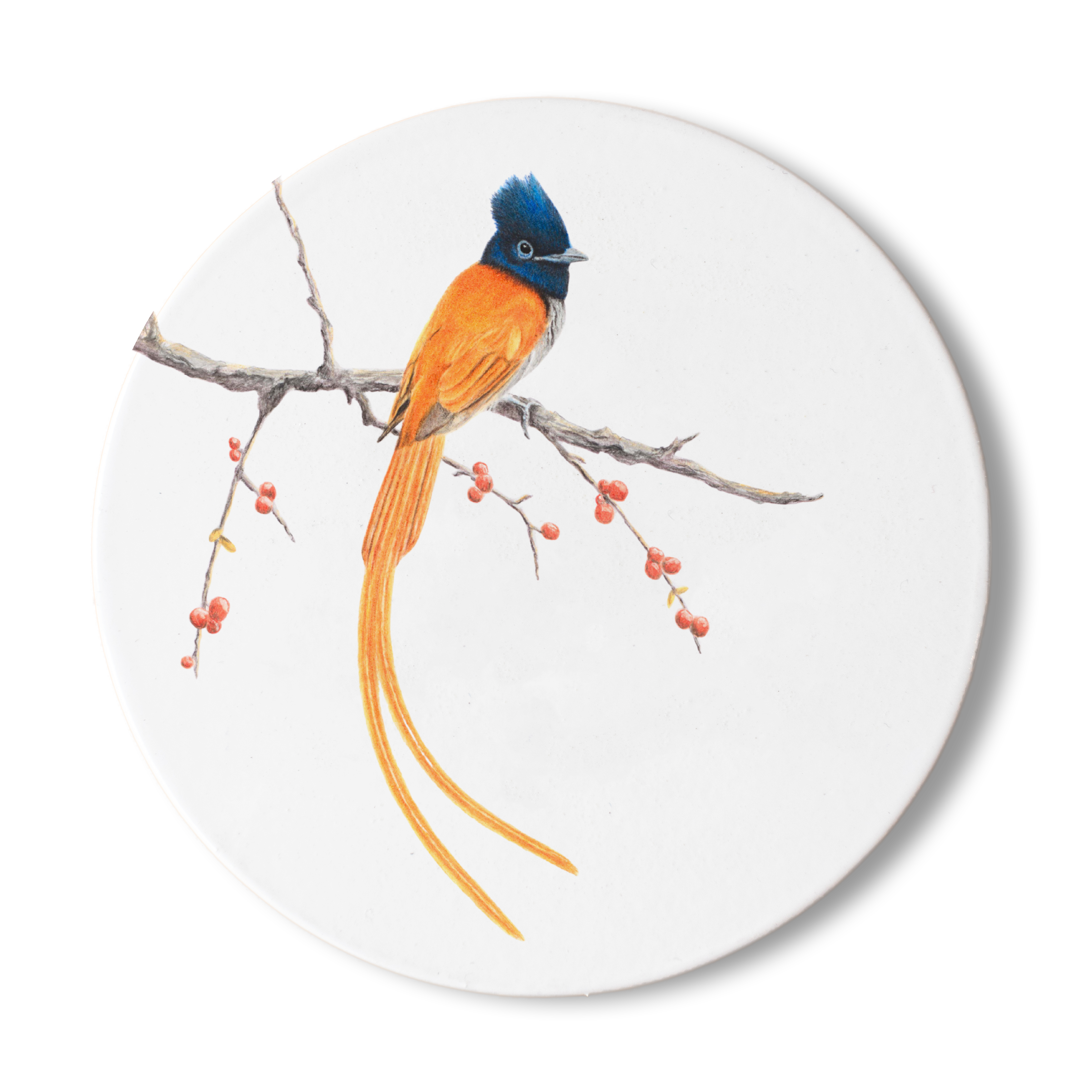 South African bird drawing of an African Paradise Flycatcher on a white wooden coaster