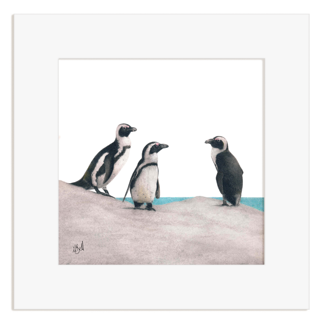 Framed artwork of three african penguins on a rock with a white border