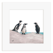 Framed artwork of three african penguins on a rock with a white border