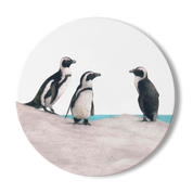 Wooden luxury coaster with African Penguin artwork by wildlife artist Matthew Bell