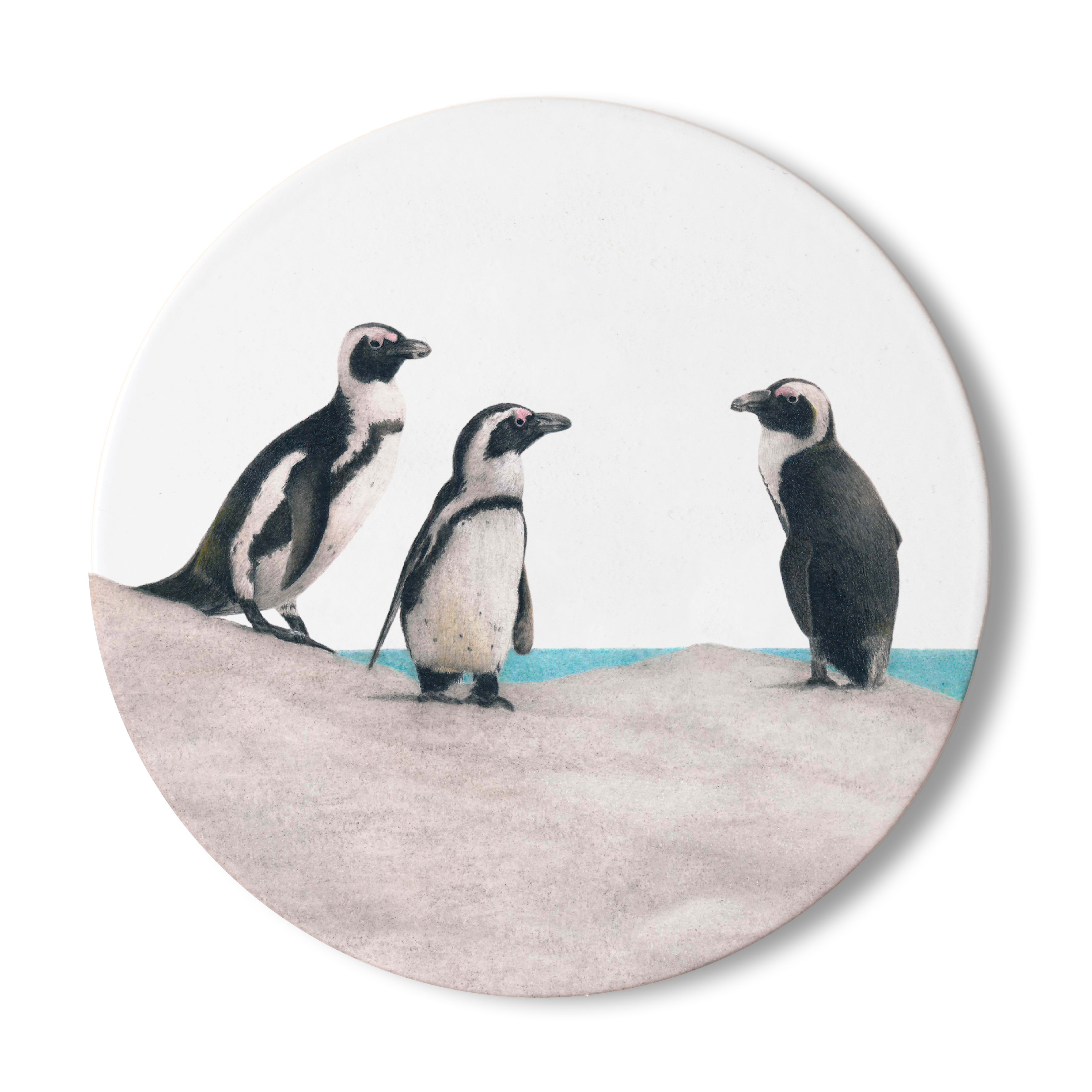 Wooden luxury coaster with African Penguin artwork by wildlife artist Matthew Bell