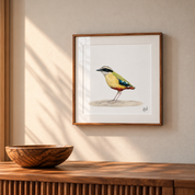 A framed watercolor art print of an African Pitta bird hanging on a beige wall above a wooden console table with a wooden bowl, styled in a warm, sunlit room.