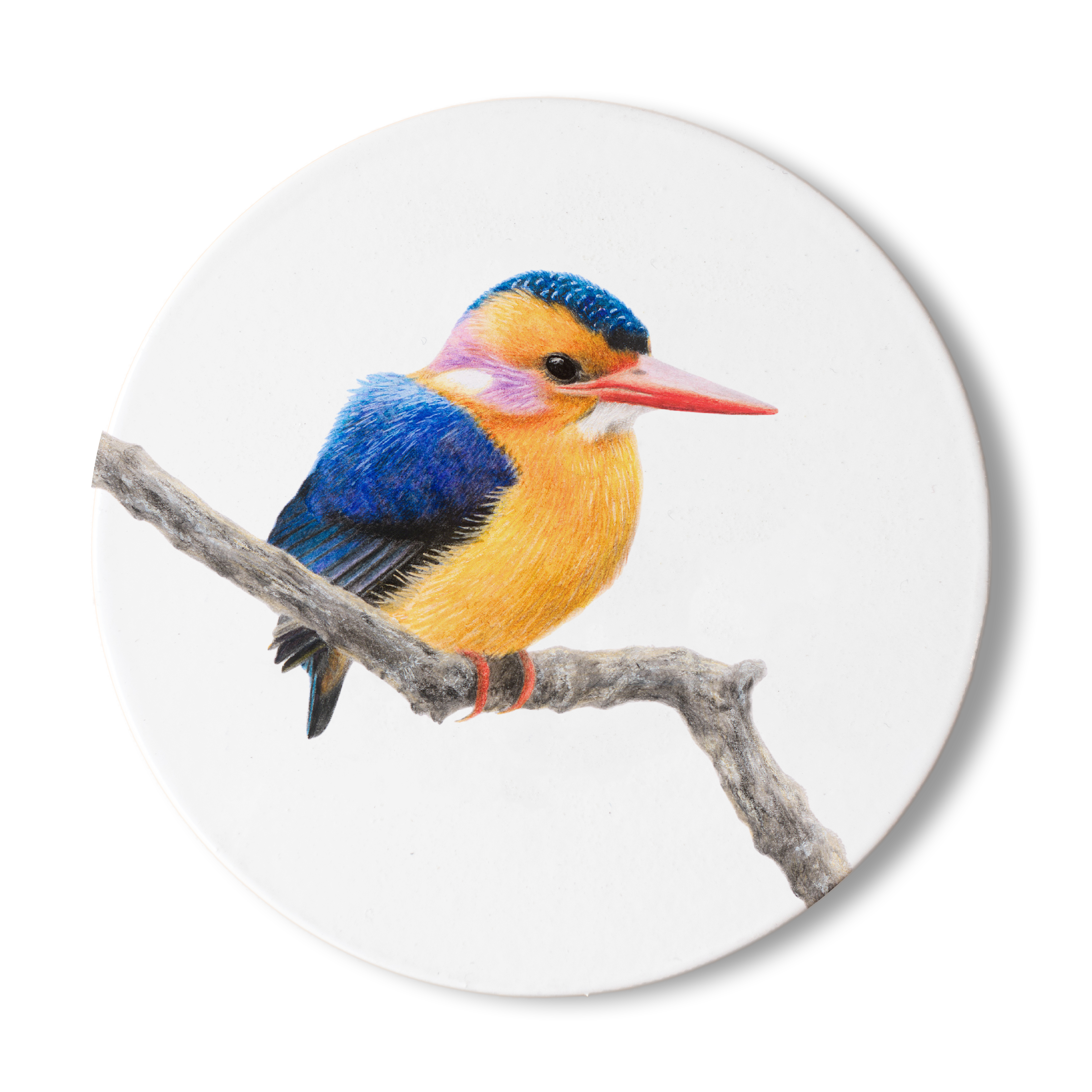 White wooden coaster with an artwork of an African Pygmy Kingfisher by Matthew Bell
