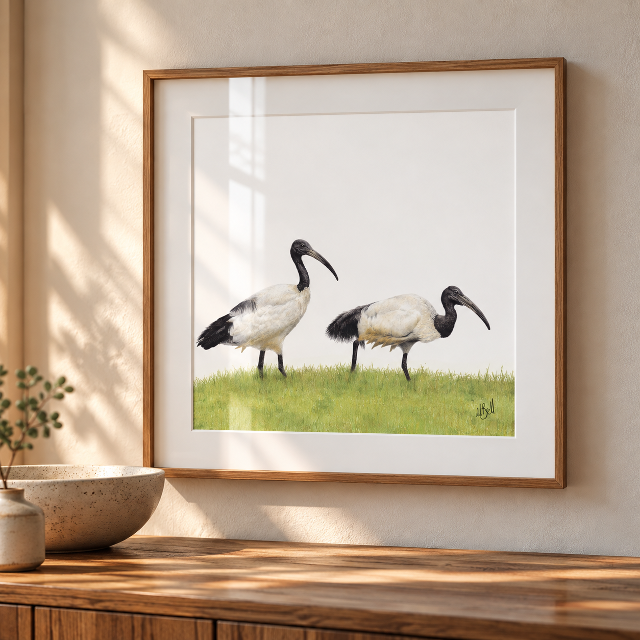 Framed wall art showing two african sacred ibises standing on green grass, displayed on a wooden console against a beige wall with sunlight and shadow patterns.