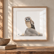 African Wood Owl framed artwork hanging on the wall with sunlight coming in through the window