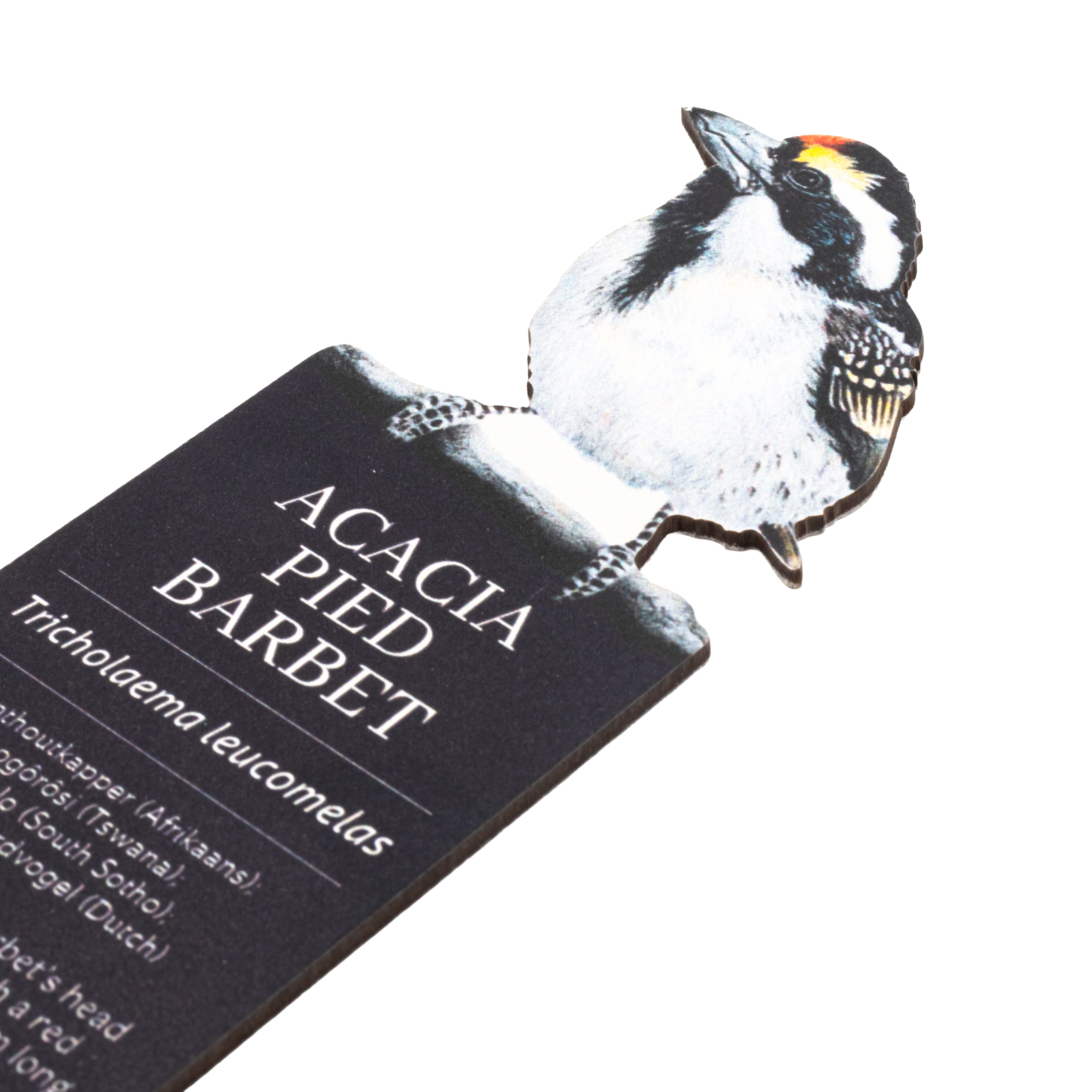 Acacia Pied Barbet Wooden Bookmark