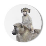 Baboon Mother and Baby Wooden Coaster - BAB