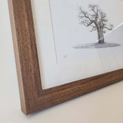 African Baobab Tree framed artwork with dark wood frame by wildlife artist Matthew Bell