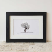 Framed artwork print of an African Baobab Tree pencil drawing by wildlife artist Matthew Bell