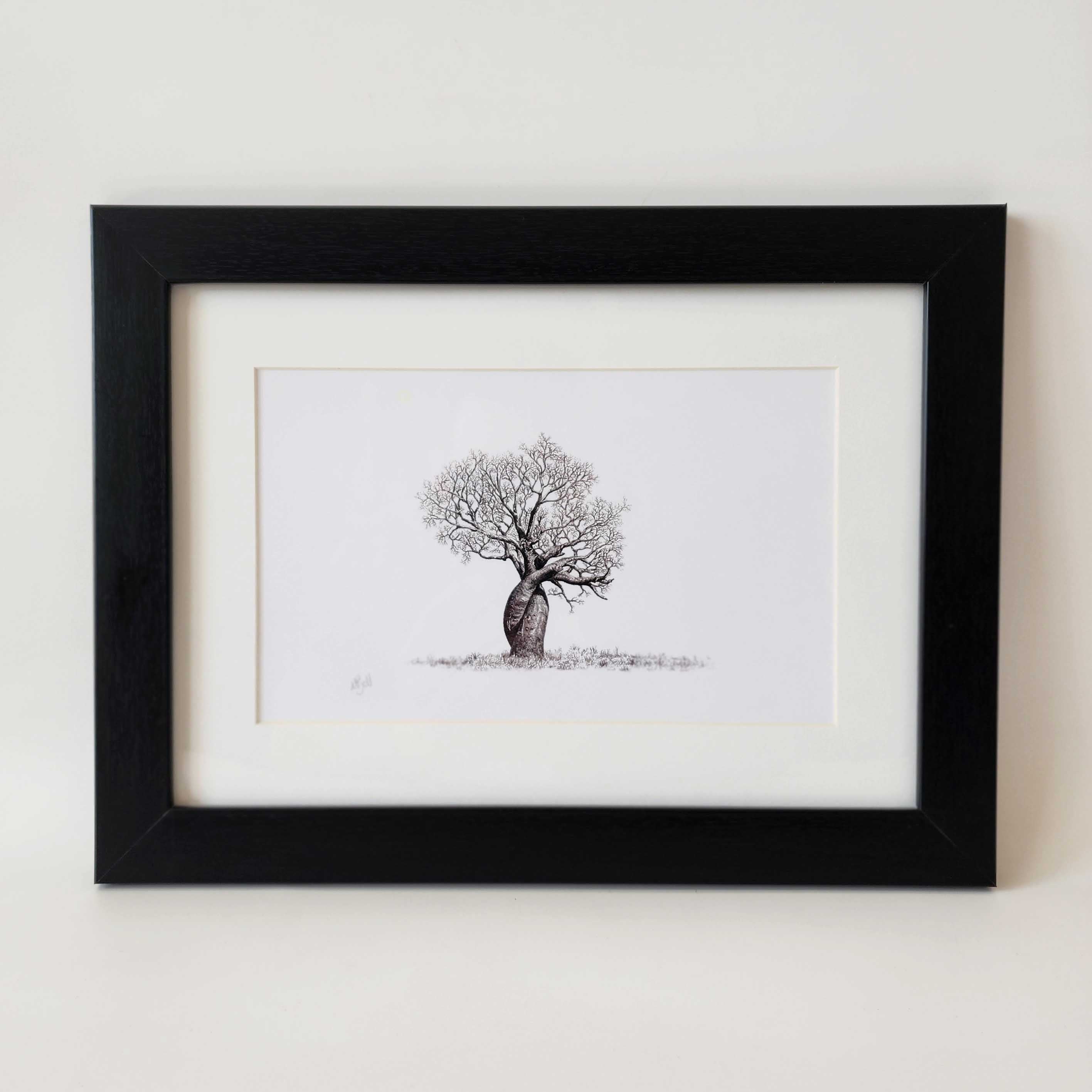 Framed artwork print of an African Baobab Tree pencil drawing by wildlife artist Matthew Bell