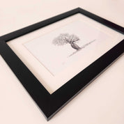 Framed artwork print of an African Baobab Tree pencil drawing by wildlife artist Matthew Bell