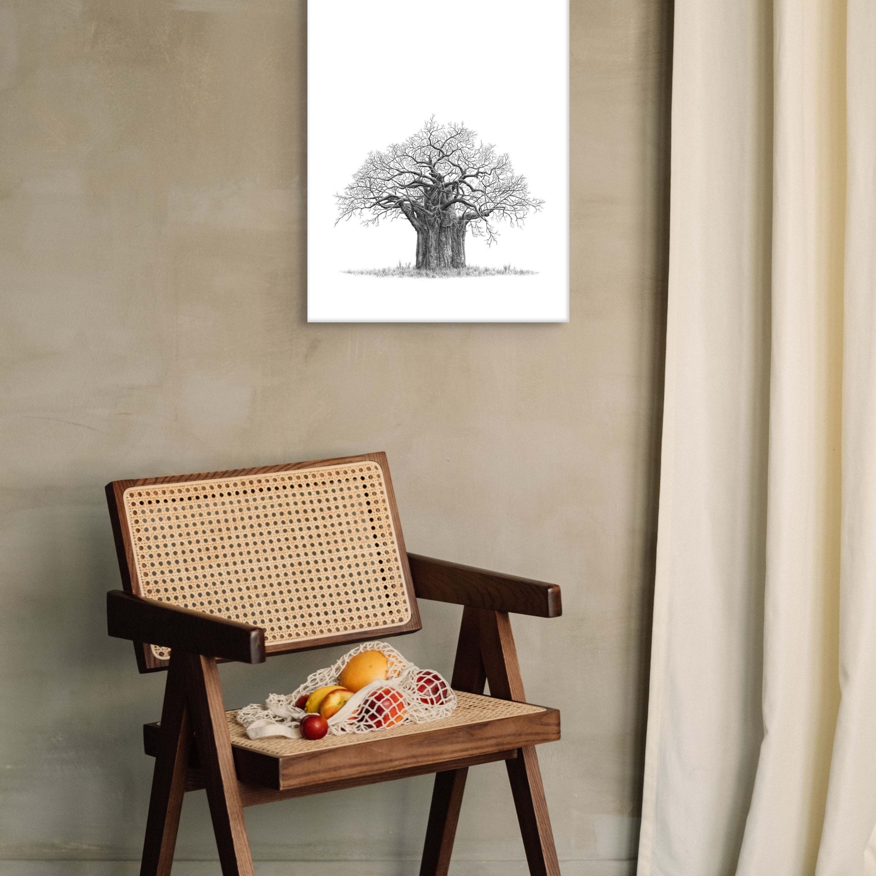 baobab_01.jpg