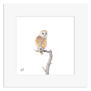 Framed artwork of a barn owl perched on a branch with a white background