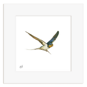 Framed artwork of a swallow bird in flight on a white background