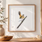 Framed wall art featuring a Bearded Scrub Robin on a branch, displayed on a wooden console against a light wall with decorative plants and bowls nearby.