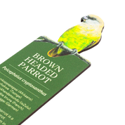 Brown Headed Parrot Wooden Bookmark