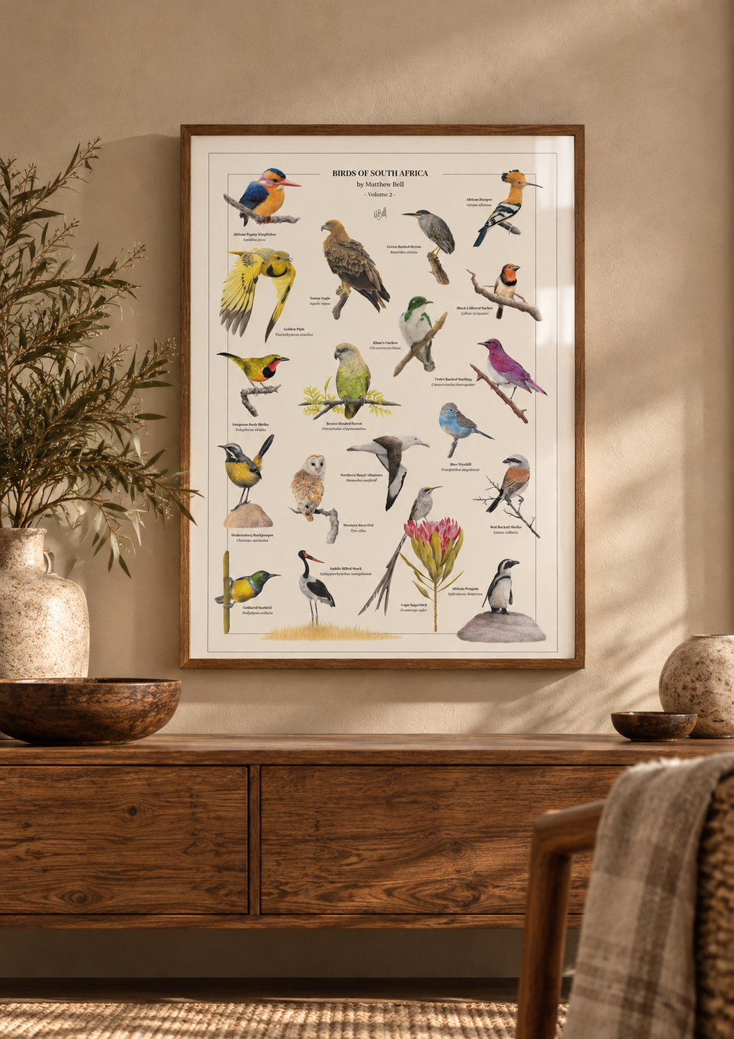 Framed Birds of South Africa Volume 2 poster by Matthew Bell, featuring detailed illustrations of South African birds in a thin wooden frame with subtle glass reflections, displayed above a wooden sideboard in a bright, modern home.