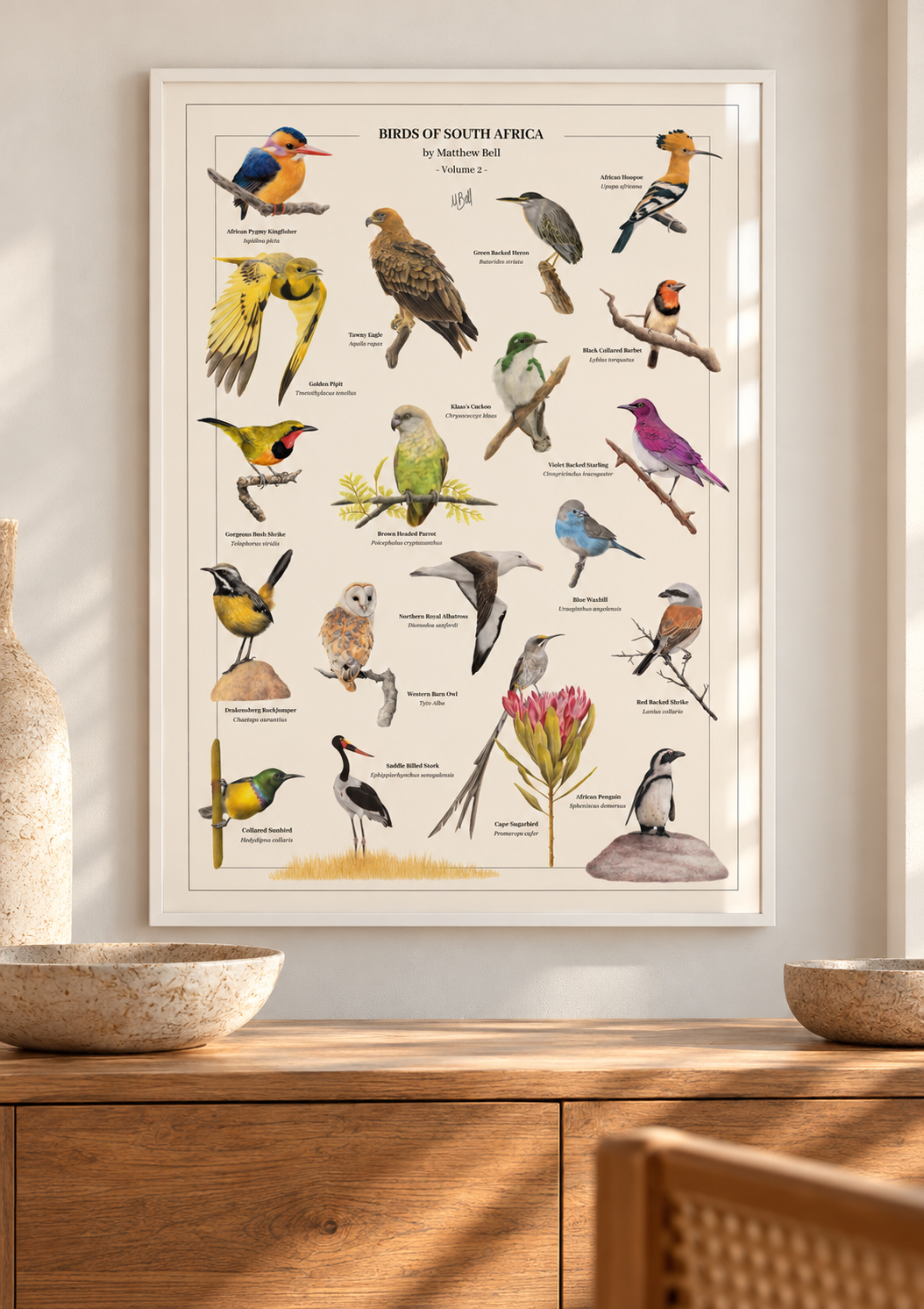Framed Birds of South Africa Volume 2 poster by Matthew Bell, featuring detailed illustrations of South African birds in a thin white frame with subtle glass reflections, displayed above a wooden sideboard in a bright, modern home.