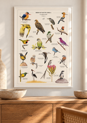 Framed Birds of South Africa Volume 2 poster by Matthew Bell, featuring detailed illustrations of South African birds in a thin white frame with subtle glass reflections, displayed above a wooden sideboard in a bright, modern home.