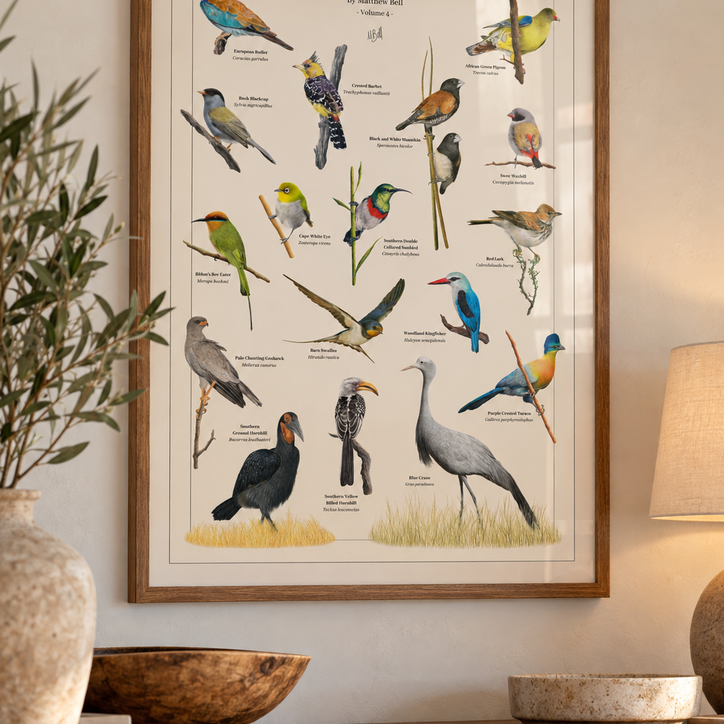 A framed bird poster titled 'Birds of South Africa' by Matthew Bell, South African wildlife artist, hangs on a beige wall above a wooden console table. The print features multiple illustrated birds in various colors on a cream background, enclosed in a light wood frame.