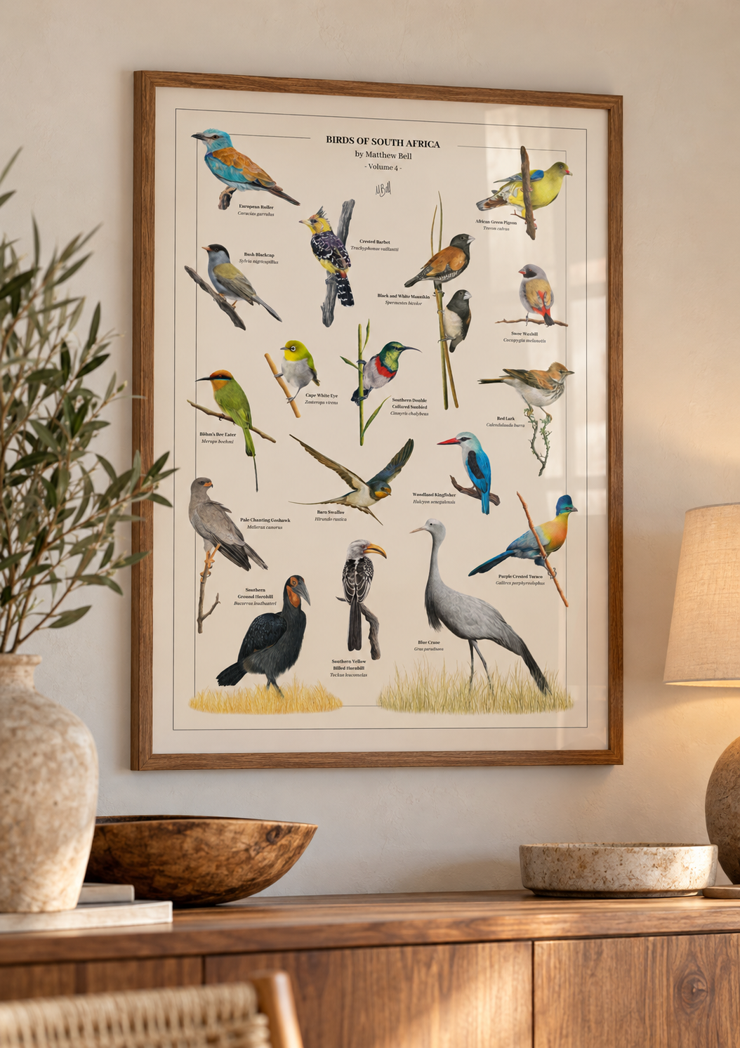 A framed bird poster titled 'Birds of South Africa' by Matthew Bell, South African wildlife artist, hangs on a beige wall above a wooden console table. The print features multiple illustrated birds in various colors on a cream background, enclosed in a light wood frame.