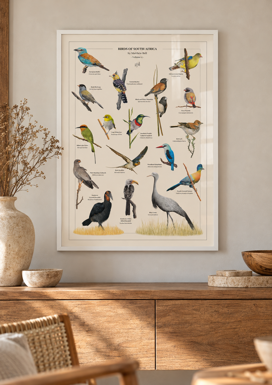 A framed bird poster featuring detailed illustrations of various birds from South Africa by wildlife artist Matthew Bell, displayed on a beige wall above a wooden console table in a styled interior setting.