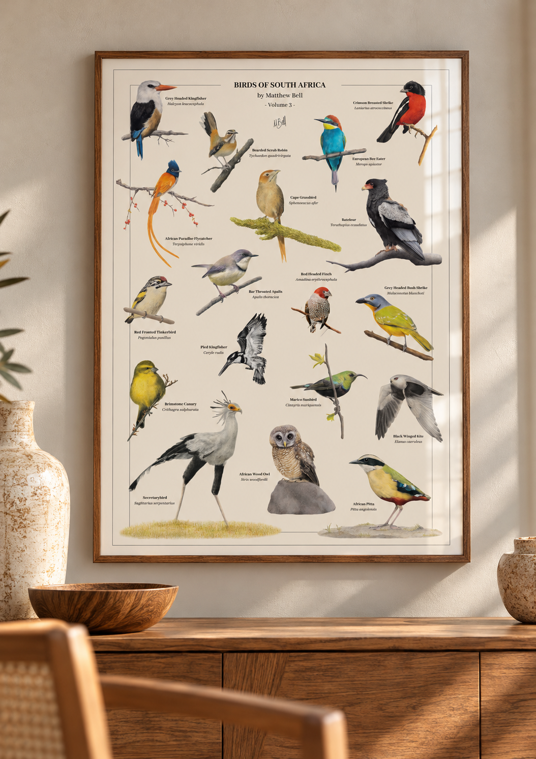 A framed bird poster titled 'Birds of Southern Africa' hanging on a beige wall above a wooden console table. The poster features multiple colorful illustrated birds with labels, and the scene is styled with a ceramic vase, wooden bowl, and chair in a warm interior setting.