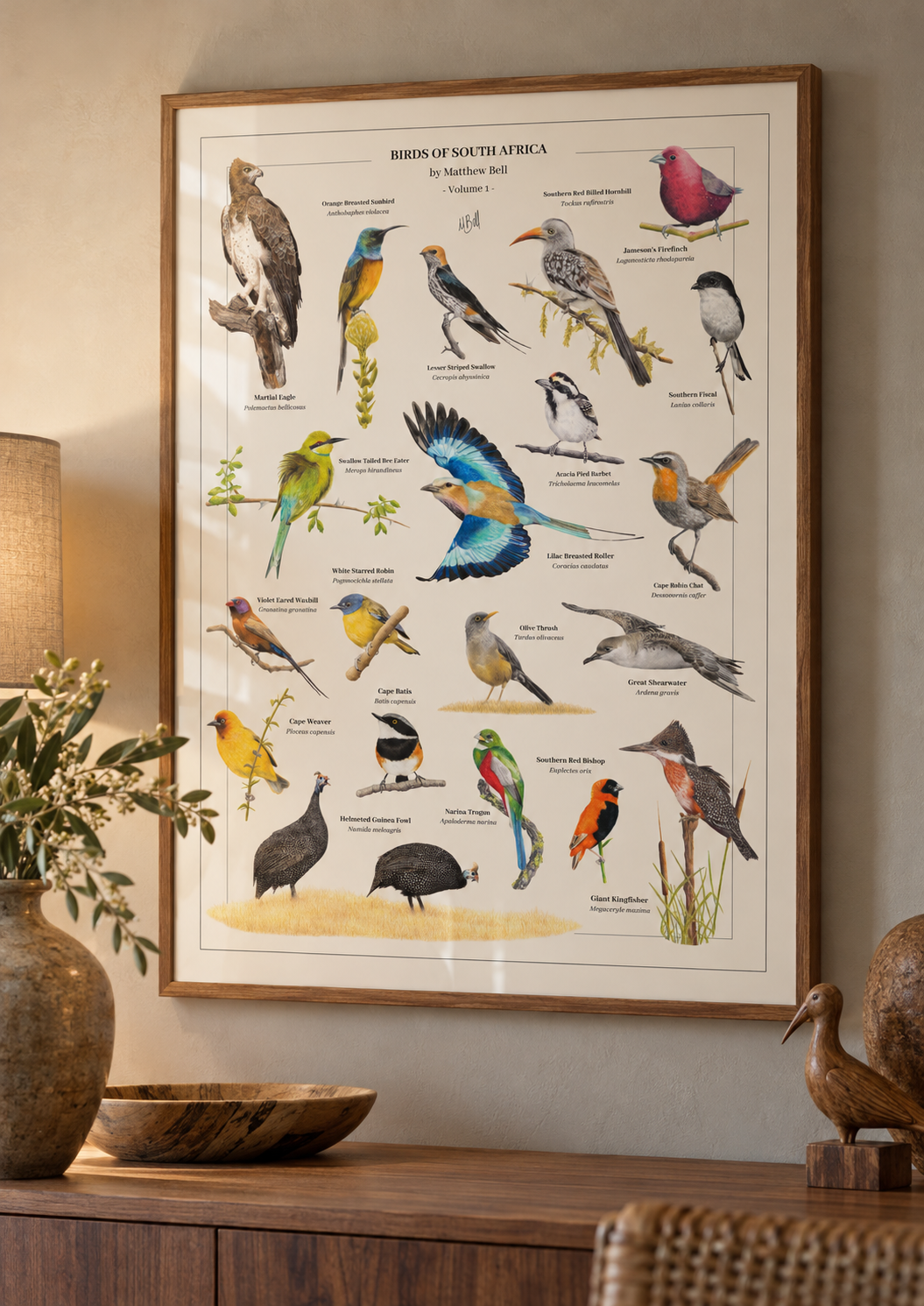 A framed educational bird poster titled 'Birds of South Africa' hanging on a beige wall above a wooden console table. The poster features multiple colorful illustrated birds with labels, enclosed in a light wood frame.